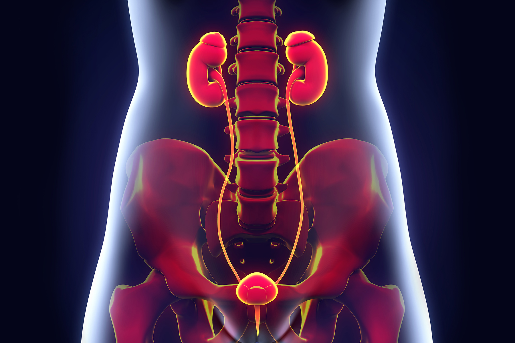 尿频，17种可能