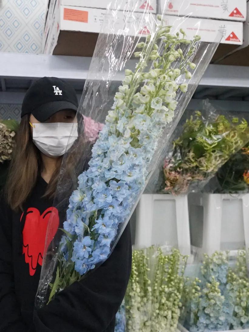 花卉市场晚上营业,今天的花卉市场