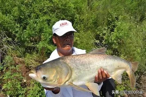 钓鱼界的五大顶尖高手你更喜欢谁,关于世界顶级钓鱼高手排行榜