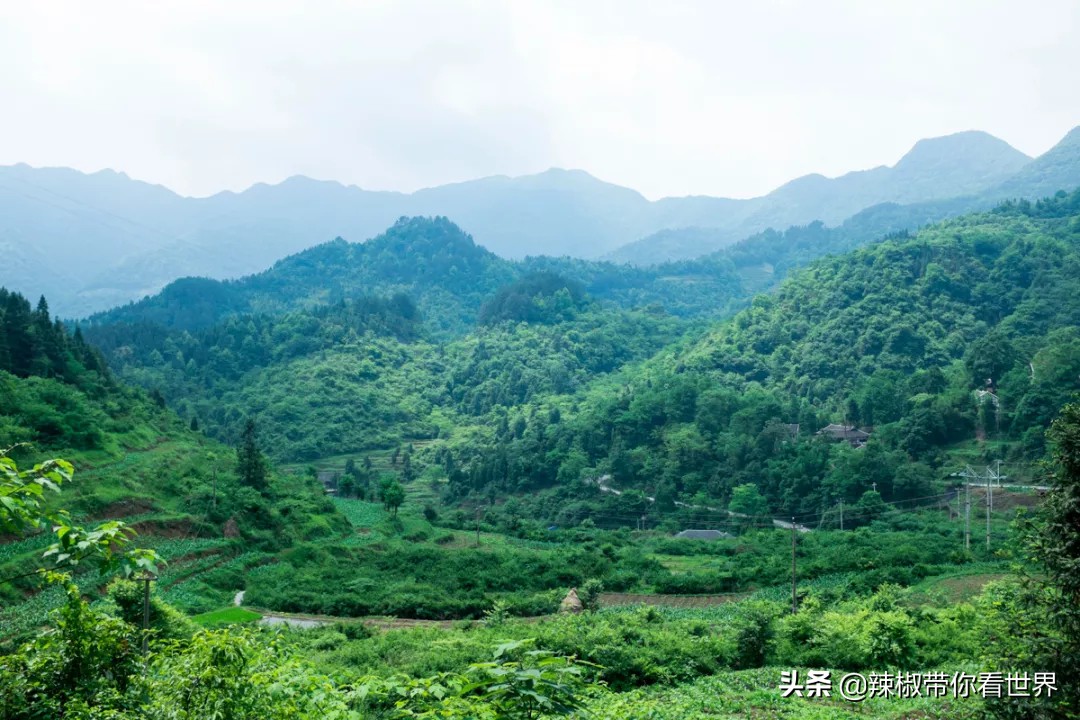 从西到东：贵州——沿河流“黔”行在这里一万种辣椒吃法向你奔来