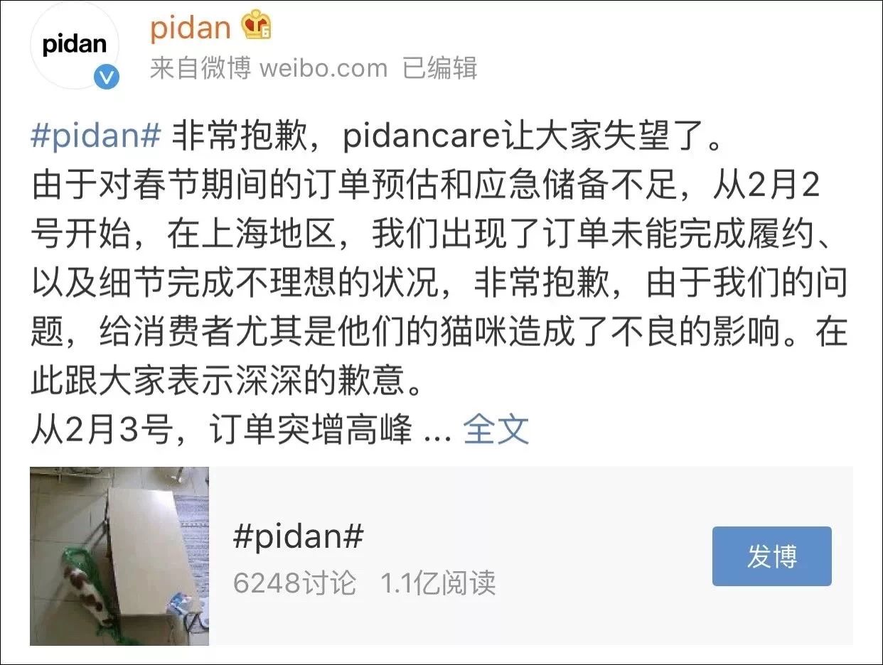 春节回家猫咪咋办,过年回老家猫咪怎么办