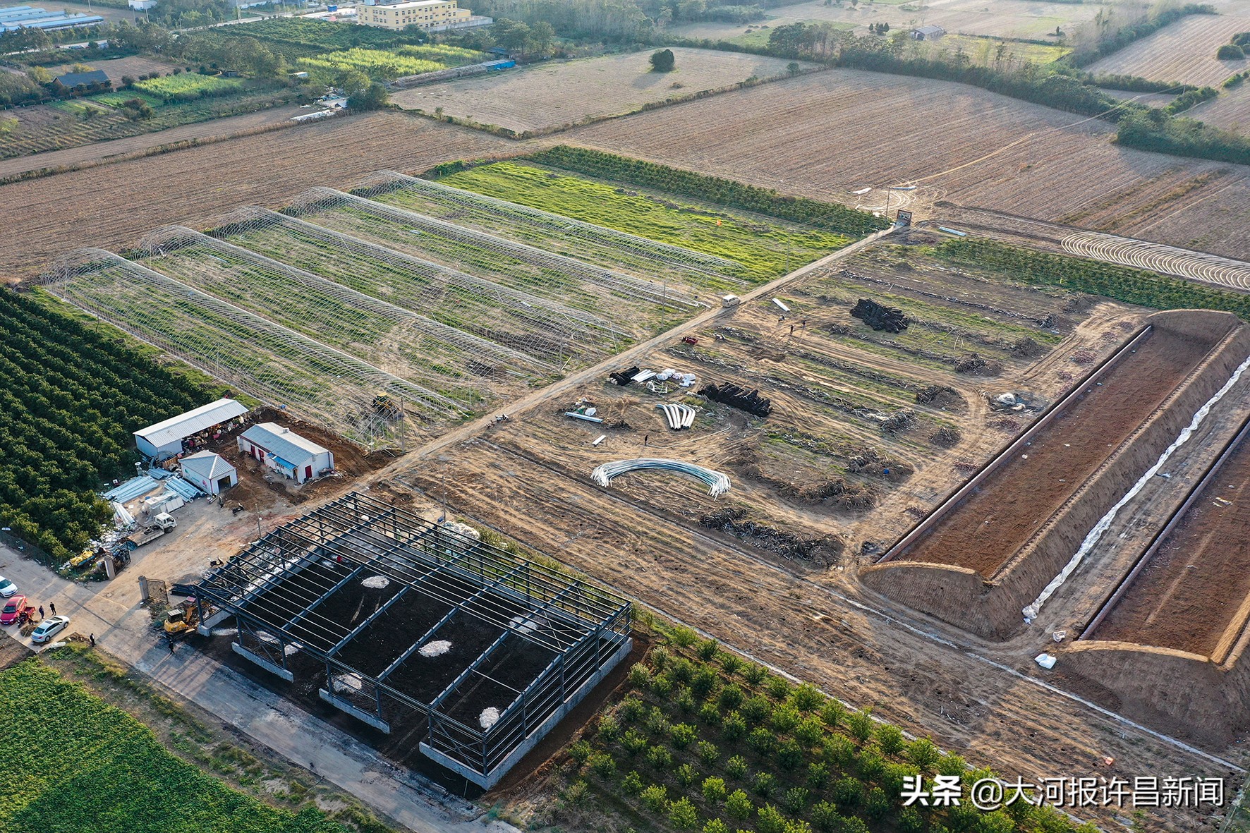 农村小伙承包80亩农田创业5年,90后小伙扎根农村办农场