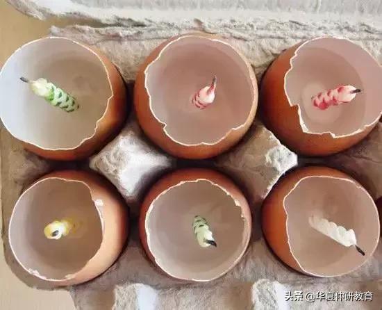 鸡蛋绘画入门教程,鸡蛋素描画绘画过程