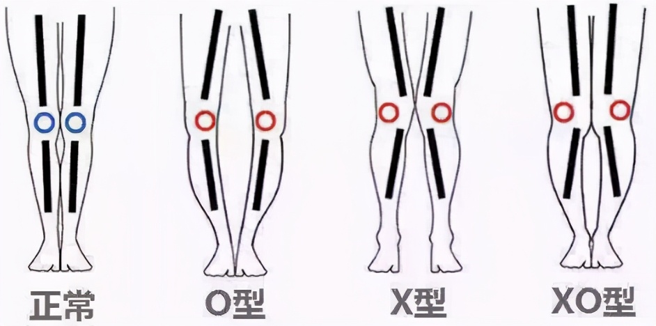 马拉松的冷知识视频,马拉松的科普冷知识