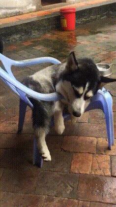 搞笑gif趣图姑娘有话好好说别动手,开心一刻gif搞笑动图