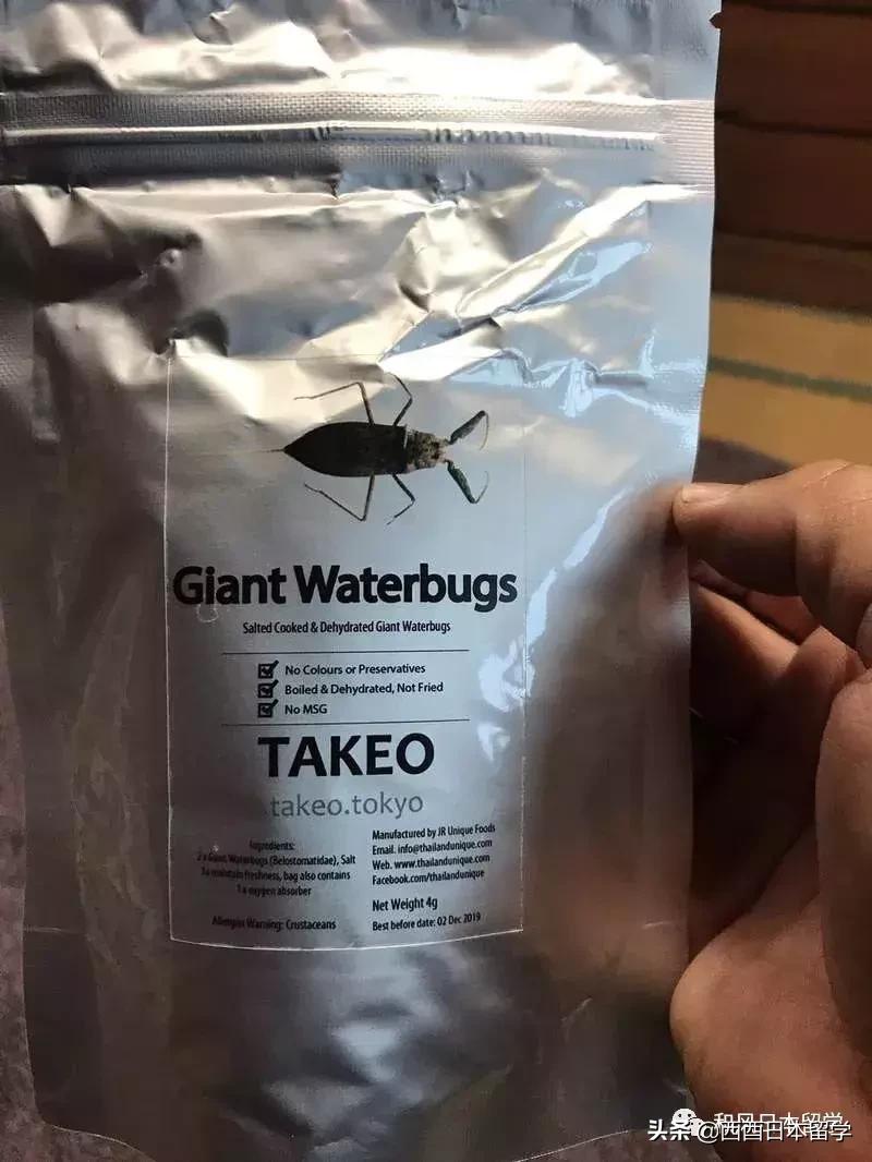 日本昆虫拉面自助售卖机,日本活体昆虫自助售卖机