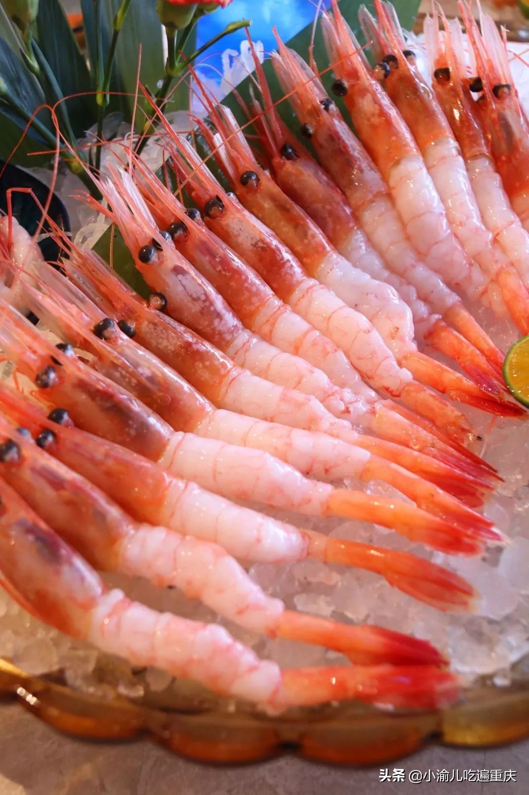 重庆来福士日料自助餐,深圳日料自助攻略