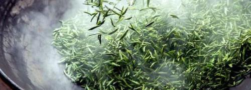 蒙顶甘露在绿茶里的排名,蒙顶山甘露是极品吗