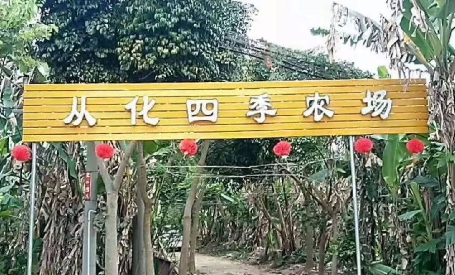 广州从化温泉度假泳池别墅,从化温泉哪个是真正的天然温泉