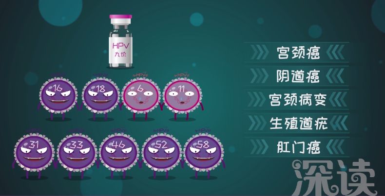 什么是hpv疫苗九价和四价,hpv疫苗有必要打吗二价和四价区别