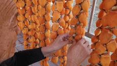 90%靠从中国进口的“软黄金”，韩国人都抢着吃，朱元璋给它封侯