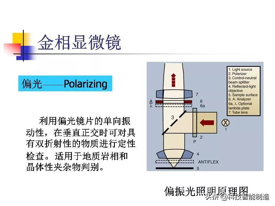 材料科学基础和金相分析,金属金相组织基本知识