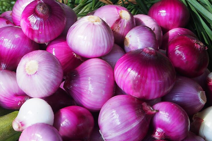 女孩给前男友送一顿洋葱,前女友给前任送洋葱