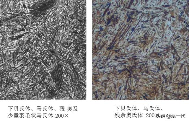 马氏体、奥氏体、珠光体，20种材料彩色金相，带你轻松识别