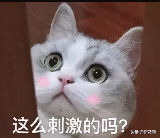 毛孔粗大用什么面膜可以收缩毛孔,脸上毛孔粗大收缩毛孔护肤品排行