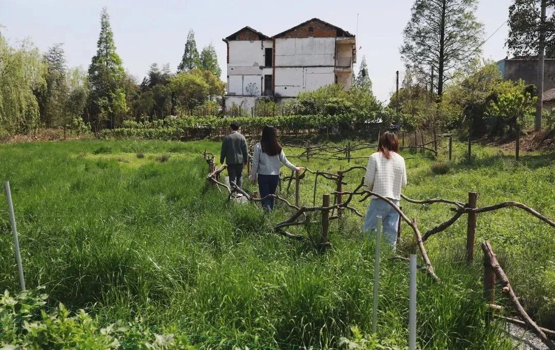 最会说情话的人全集,最会说情话的人