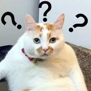 死了这条心吧！有蜀黍在，*牌套**车都得“挂”！