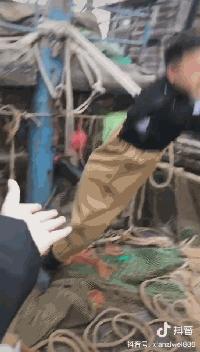 模仿不倒翁姐姐的小朋友视频,网红不倒翁姐姐原视频