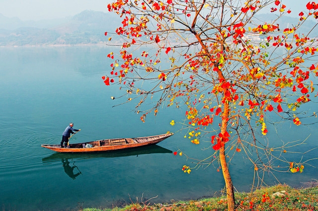杭州最好的景点打卡排行榜,杭州萧山看飞机网红打卡点