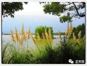 吴潮彬：在成语中品读秋天