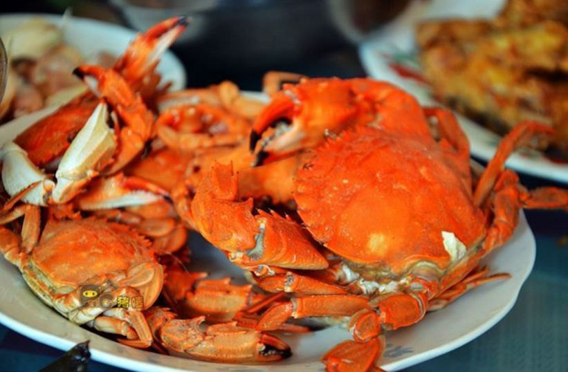 各地人看威海,威海的夏天是什么样的