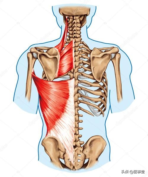 病人在全身麻醉后可能被医生猥亵吗？真实的情况是这样的