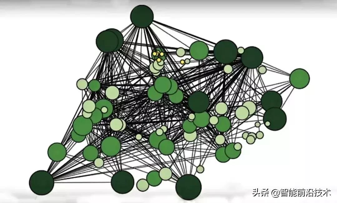 神奇“树联网”，地球本身是一个巨大的超生物体