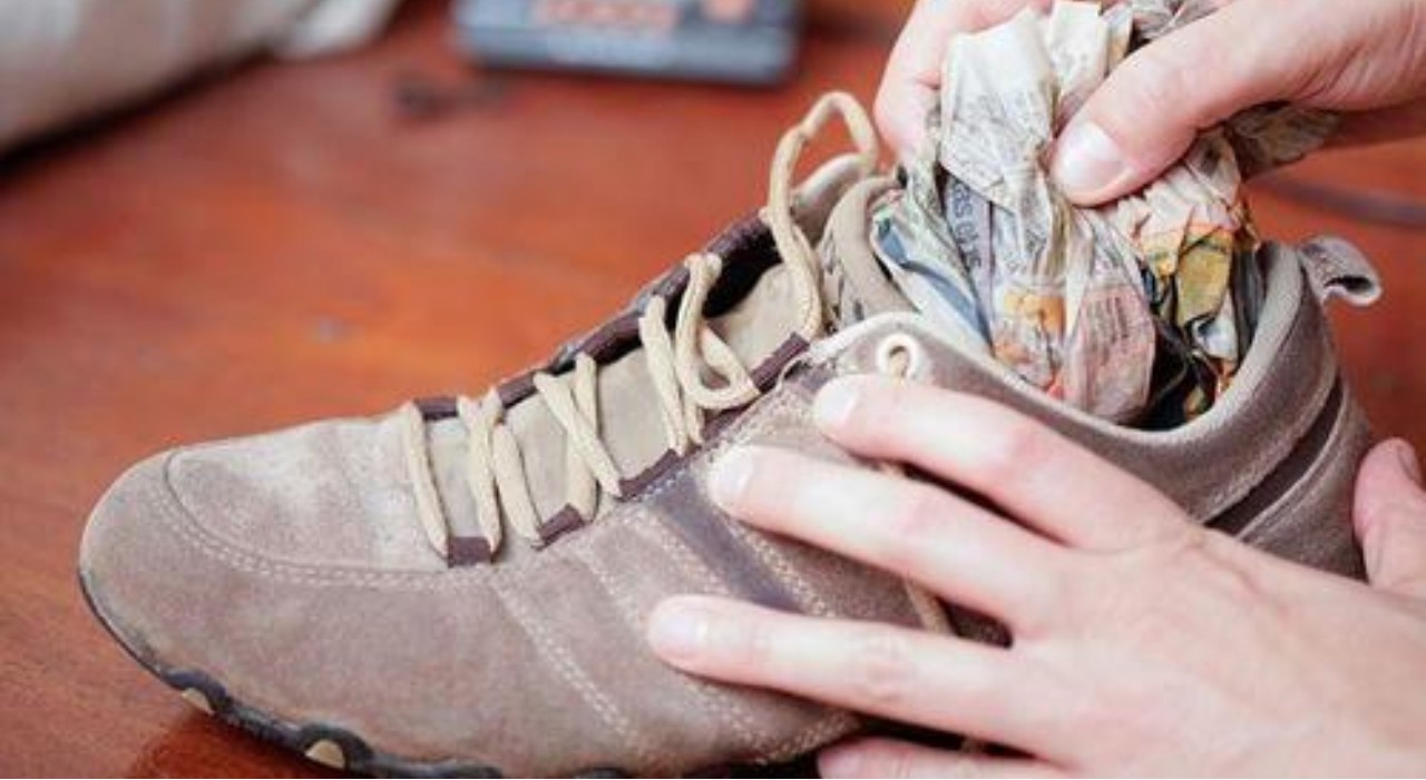 被潮湿困扰学会这些方法,潮湿怎么快速变干