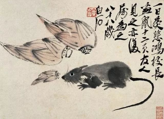 庚子年属鼠的怎么度过,关于庚子鼠年你应该知道的事儿