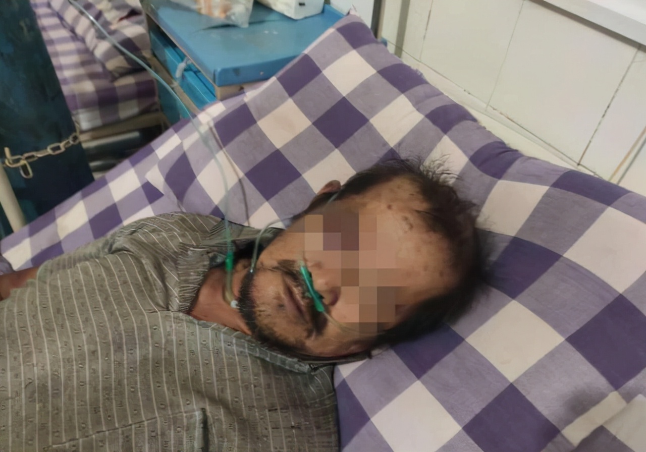 罕见!四川一男子收获2.4米196斤红娘大黑蜂蜂窝,它究竟有多毒?