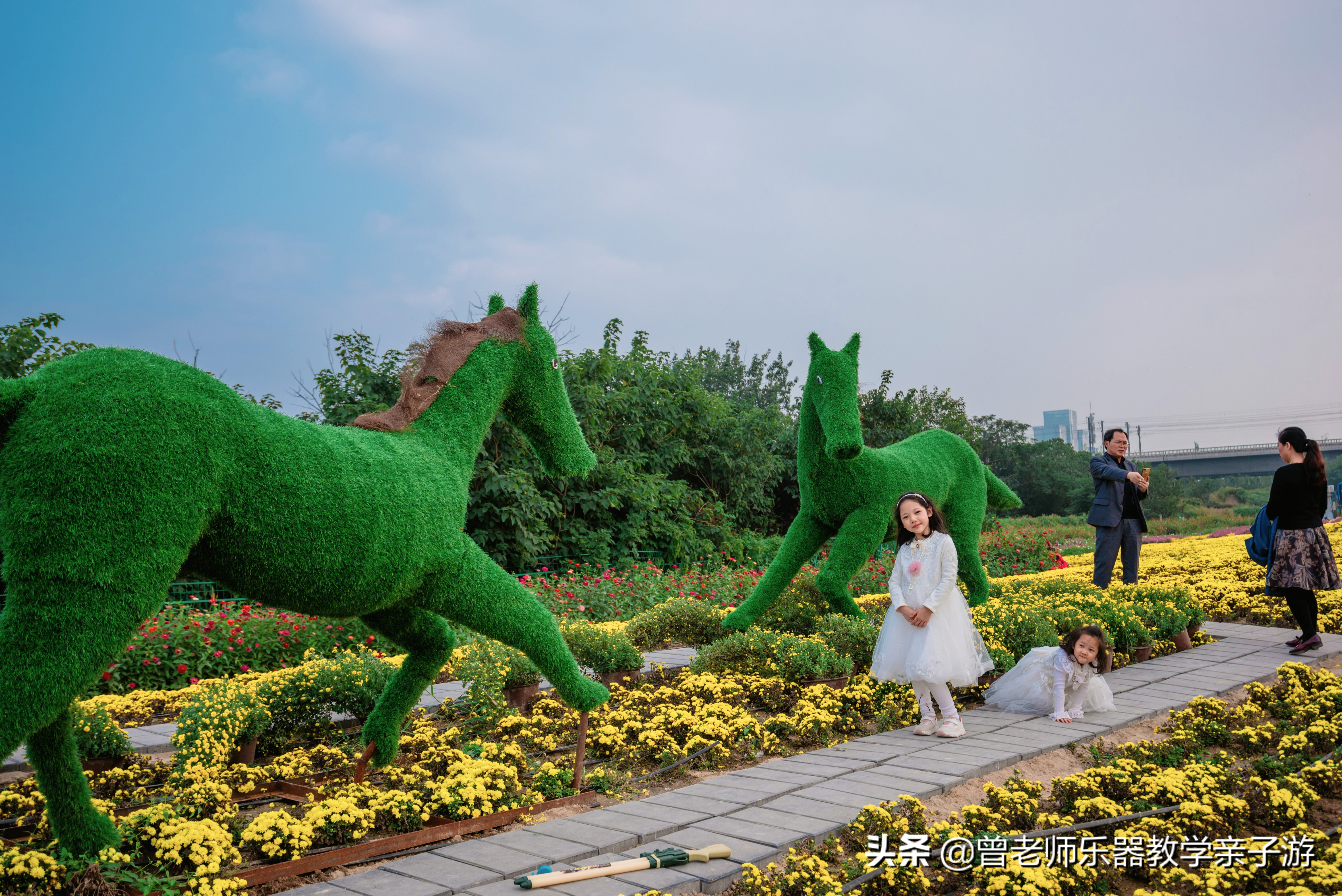 爱菊研学游,爱菊丝路文化菊花园西安