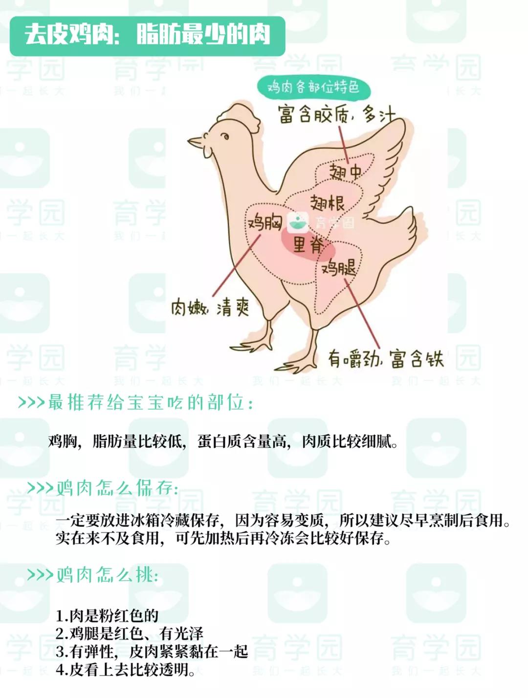婴儿开始吃肉应该选择吃什么肉,首次给宝宝吃肉吃什么肉