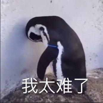 老代购,老代购代销员有补助吗