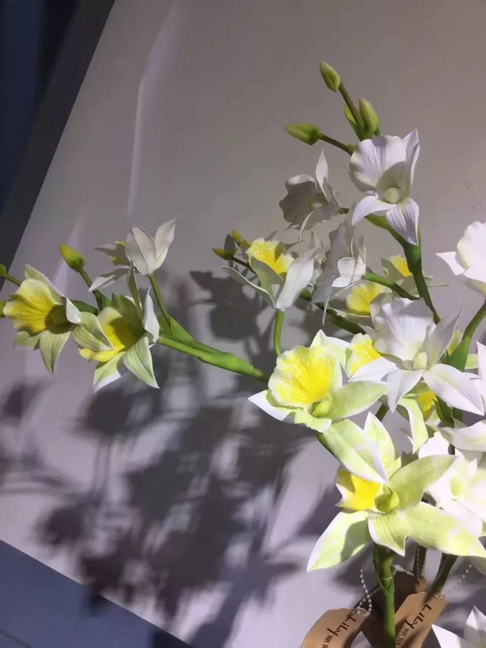 你难道还傻乎乎的认为鲜花比仿真花贵吗？