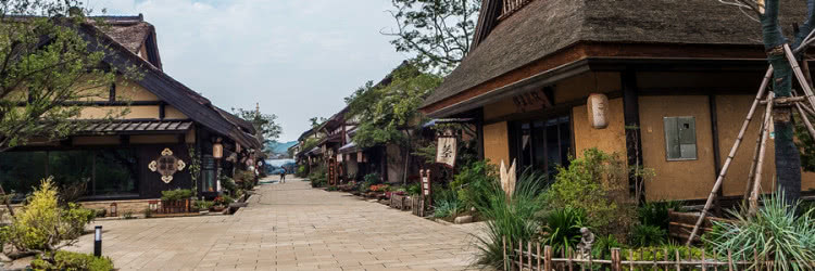 灵山小镇拈花湾樱花,无锡拈花湾樱花开