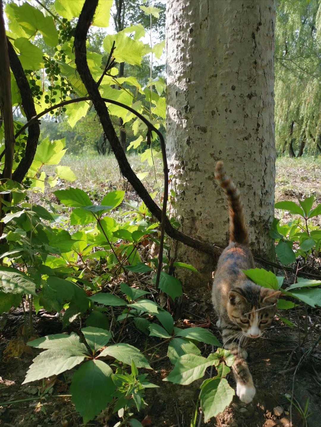 沈阳建筑大学|东北的一所另类大学