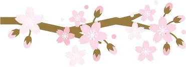 最美基层女警察派出所女所长,最美基层民警派出所女所长