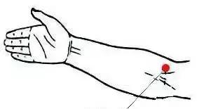 中老年穴位拍打养生操教学视频,十二经络二十八个穴位拍打操