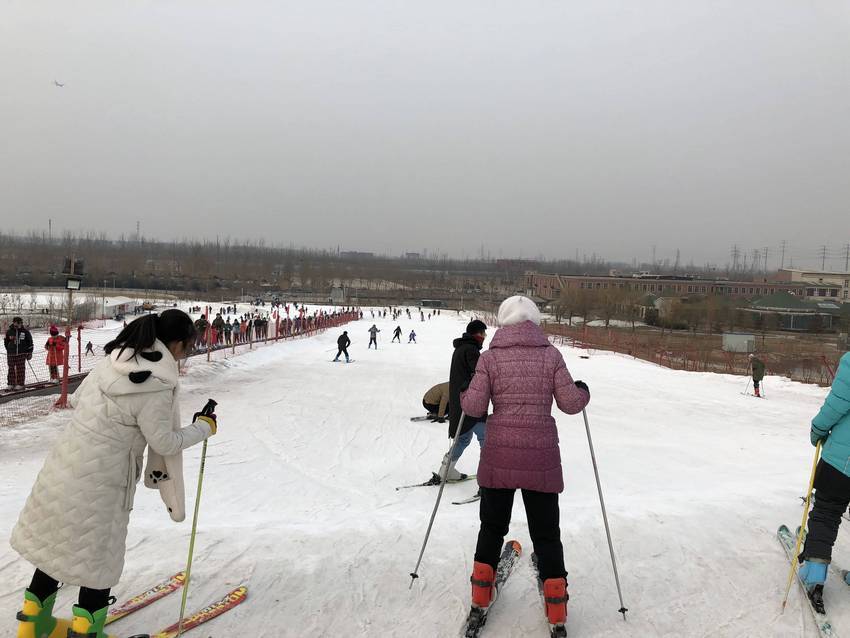海德力香草奶昔蛋白粉,海德力乳清蛋白巧克力奶昔