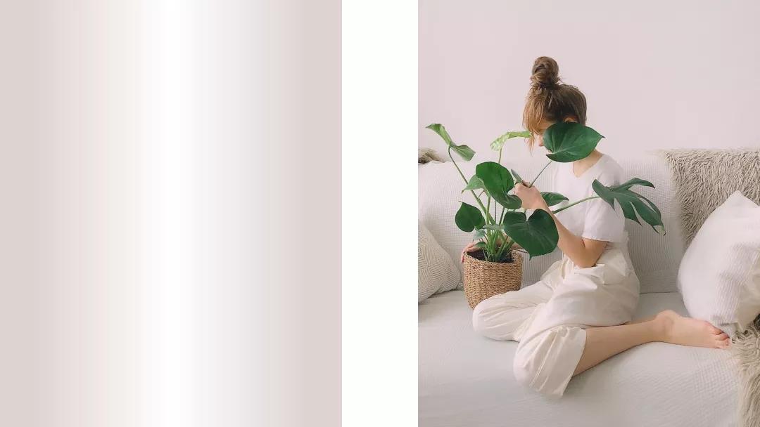 ppt两张竖版图片排版高级感,竖版图片怎么在ppt中呈现