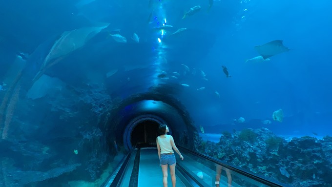 台湾环岛全攻略,台湾深度游玩攻略