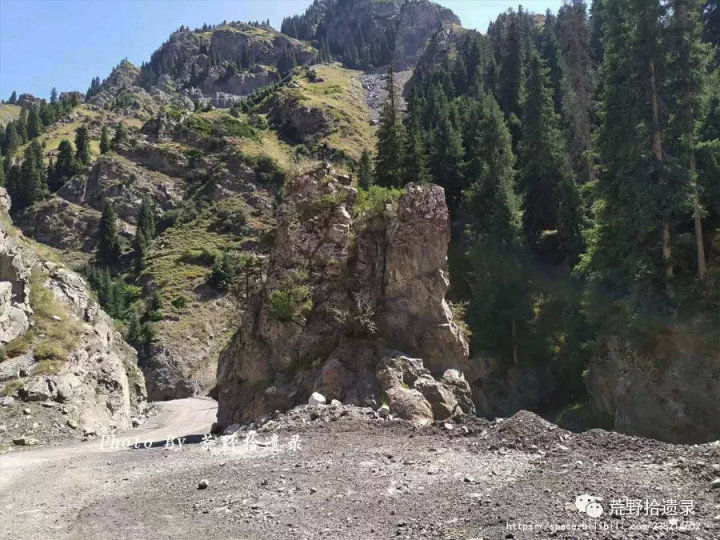 荒野拾遗录,荒野拾遗录完整