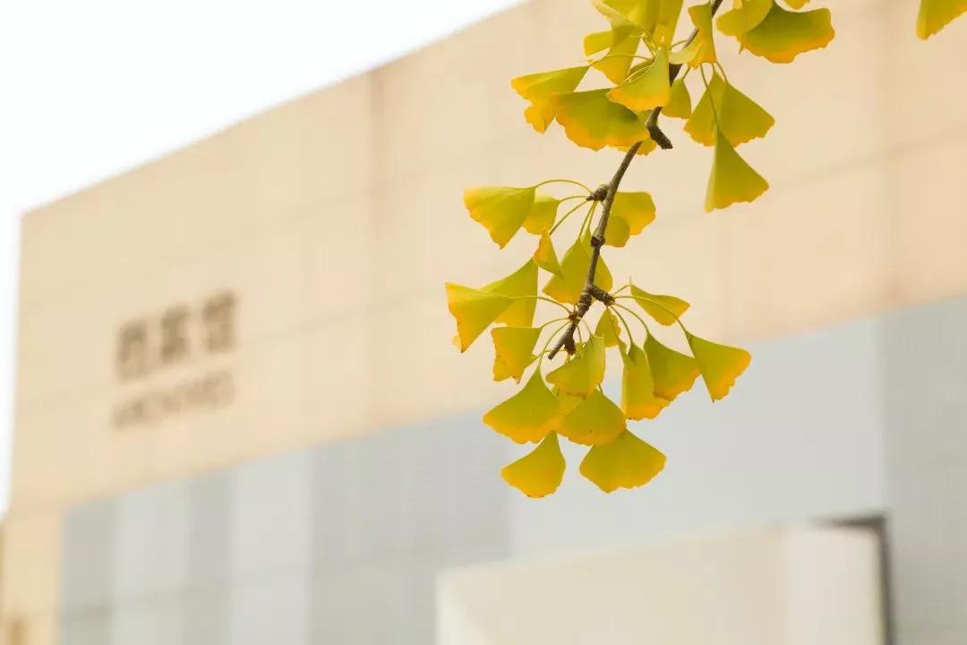 江苏省淮阴师范学院图片,江苏高校简介淮阴工学院