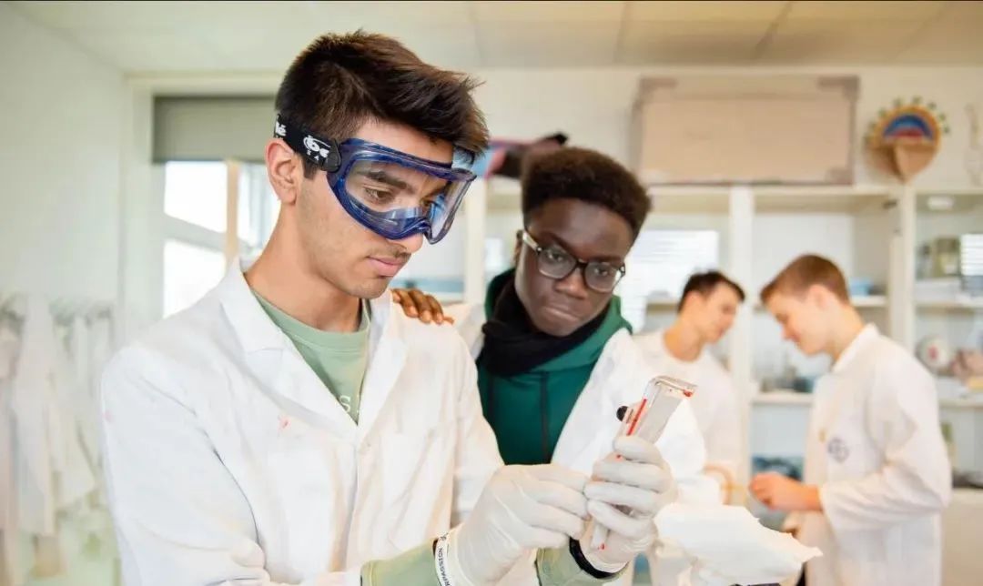 比王菲女儿更贵族的瑞士学校,王菲在瑞士的寄宿学校