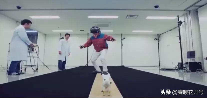 段永朝互联网十种思维,段永朝谈生命的意义