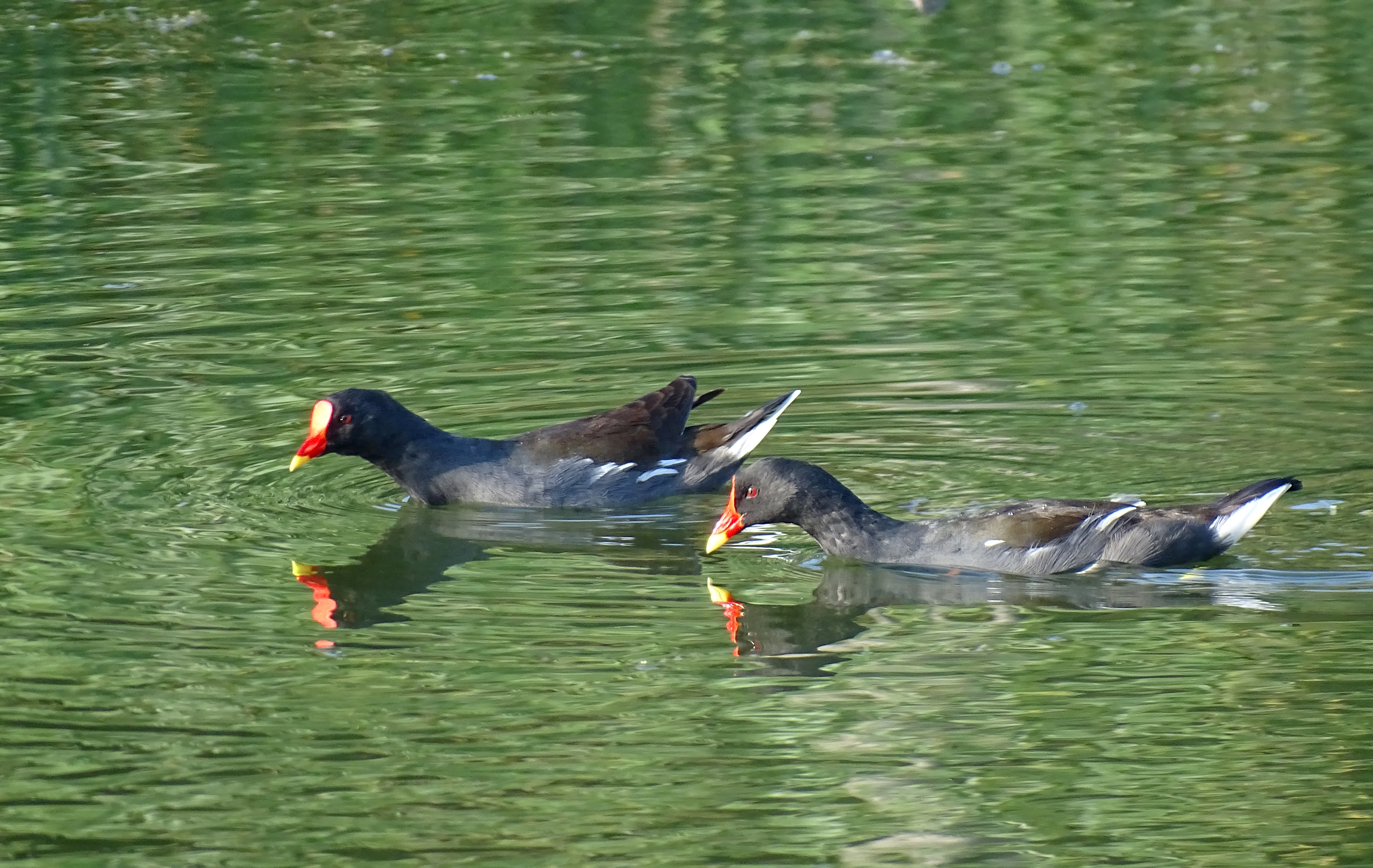 索尼dsc-hx400拍飞机效果,索尼dsc-hx400照片调色