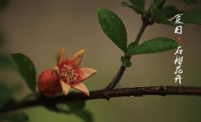 法考客观题193,法考主观题二战三十天复习