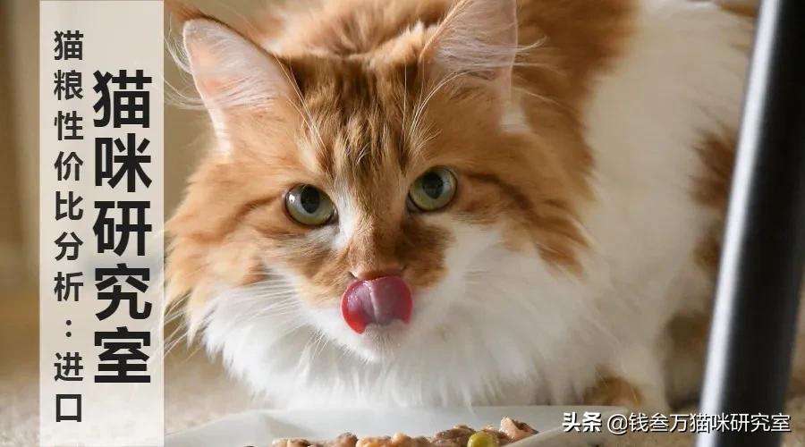 性价比最高的猫粮和猫罐头,便宜且性价比比较高的猫粮