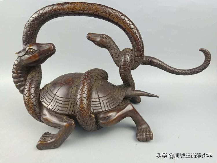 为什么乌龟是长寿的象征,乌龟王八都长寿原因