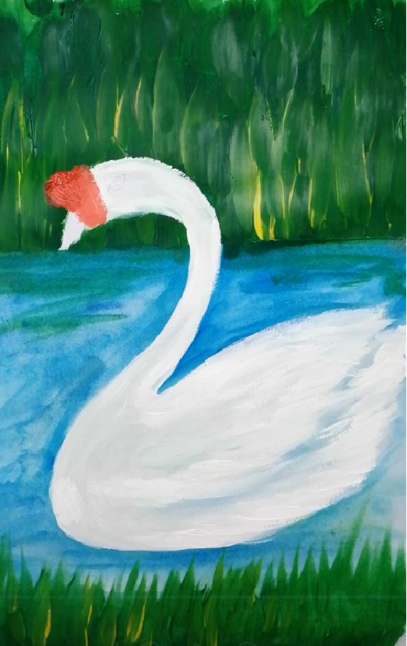 大白鹅彩铅儿童画,水粉大白鹅的画法